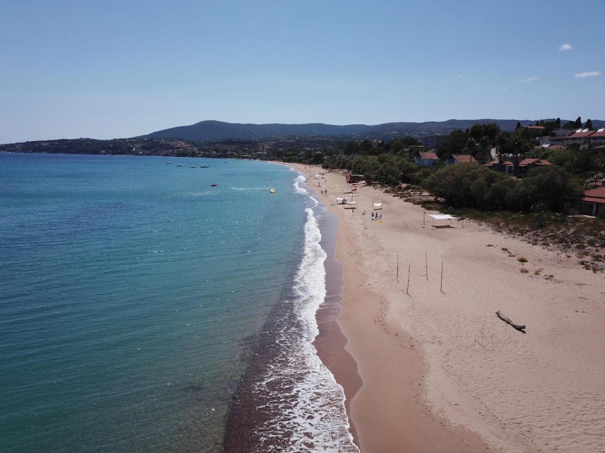 Bizos Beach Villa Koroni  Exterior photo